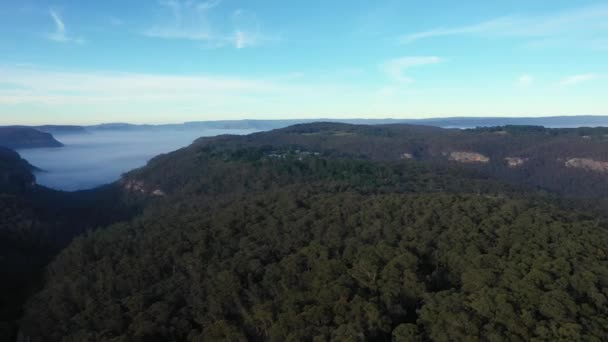Imágenes Niebla Valle Megalong Las Montañas Azules Nueva Gales Del — Vídeo de stock