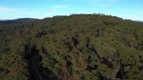 Drone Beelden Van Mist Megalong Valley Blue Mountains New South — Stockvideo