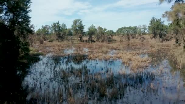 Drone Luchtbeelden Van Yarramundi Reserve Zware Overstromingen Hawkesbury Regio Van — Stockvideo