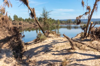 Avustralya 'nın Yeni Güney Galler bölgesindeki Yarramundi Reserve' de yaşanan şiddetli sel felaketinin ardından Nepean Nehri yakınlarındaki devrilmiş ağaçların fotoğrafları.