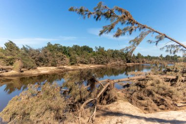 Avustralya 'nın Yeni Güney Galler bölgesindeki Yarramundi Reserve' de yaşanan şiddetli sel felaketinin ardından Nepean Nehri yakınlarındaki devrilmiş ağaçların fotoğrafları.
