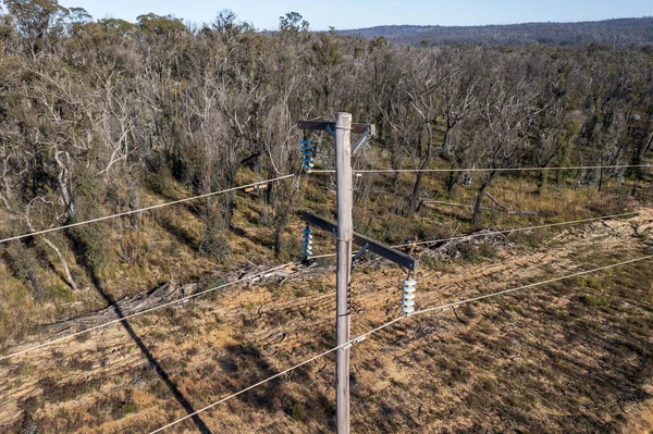 Photographie Aérienne Par Drone Poteau Téléphonique Fils Dans Une Forêt — Photo