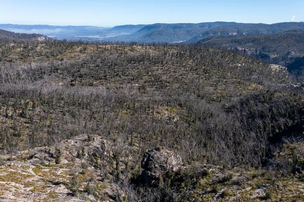 Zdjęcia Lotnicze Dronów Regeneracji Lasów Pożarach Krzewów Blue Mountains Nowej — Zdjęcie stockowe