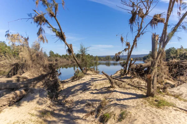 Avustralya 'nın Yeni Güney Galler bölgesindeki Yarramundi Reserve' de yaşanan şiddetli sel felaketinin ardından Nepean Nehri yakınlarındaki devrilmiş ağaçların fotoğrafları.