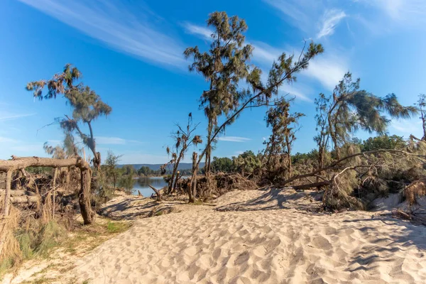 Avustralya 'nın Yeni Güney Galler bölgesindeki Yarramundi Reserve' de yaşanan şiddetli sel felaketinin ardından Nepean Nehri yakınlarındaki devrilmiş ağaçların fotoğrafları.