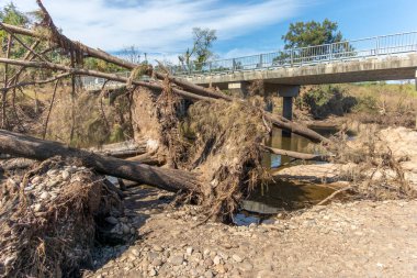 Avustralya 'nın Yeni Güney Galler bölgesindeki Yarramundi Reserve' deki sel felaketinin ardından düşen ağaçların fotoğrafları.