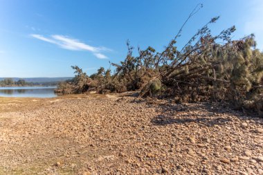 Avustralya 'nın Yeni Güney Galler bölgesindeki Yarramundi Reserve' de meydana gelen şiddetli sel felaketinin ardından Nepean Nehri yakınlarındaki Gölün Fotoğrafı