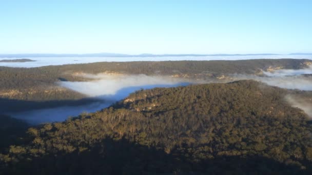 Беспилотные Кадры Низкоуровневого Облака Тумана Большой Долине Голубых Горах Региональном — стоковое видео