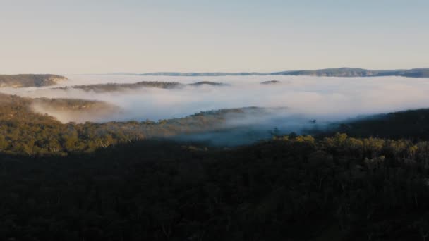 Nagranie Lotnicze Dronów Chmury Mgły Niskiego Poziomu Dużej Dolinie Blue — Wideo stockowe