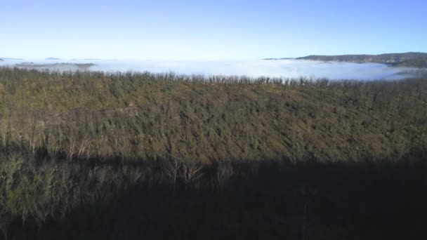 Imágenes Aéreas Aviones Tripulados Nubes Bajo Nivel Niebla Gran Valle — Vídeos de Stock