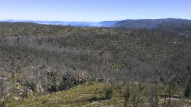 Drone Luchtbeelden Van Bosherstel Hergroei Bosbranden Blue Mountains Het Regionale — Stockvideo