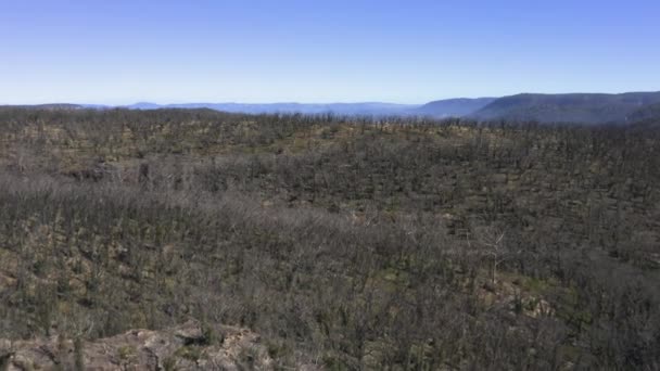 Drone Luchtbeelden Van Bosherstel Hergroei Bosbranden Blue Mountains Het Regionale — Stockvideo