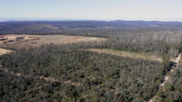 Drone Luchtbeelden Van Een Grote Zandgroeve Aanbouw Een Bos Dat — Stockvideo