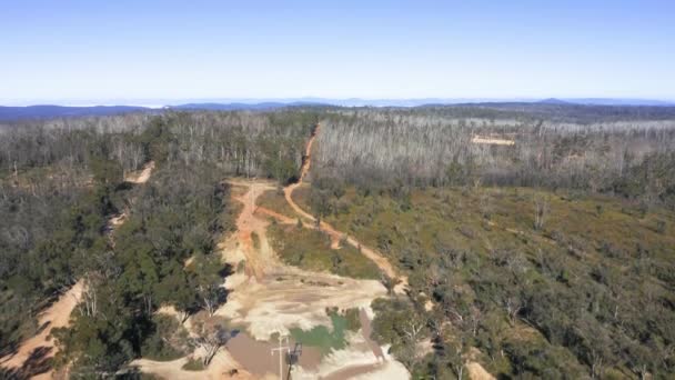 Imágenes Aéreas Aviones Tripulados Motocicletas Una Pista Tierra Bosque Afectado — Vídeo de stock