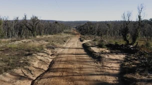 Avustralya Daki Yeni Güney Galler Bölgesinde Çıkan Orman Yangınlarının Ardından — Stok video