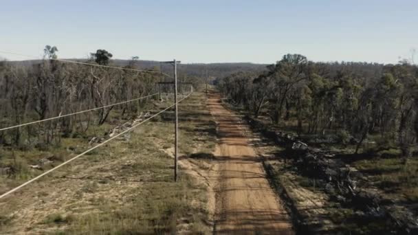 Rekaman Udara Drone Dari Saluran Telepon Sepanjang Jalan Tanah Hutan — Stok Video