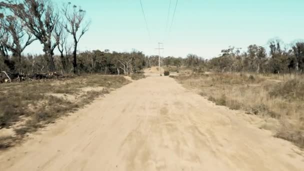 Drone Luchtbeelden Van Telefoonlijnen Langs Een Onverharde Weg Een Bos — Stockvideo