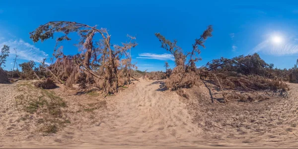 オーストラリアのニューサウスウェールズ州地域の大規模な家畜センターの球面パノラマ写真 — ストック写真