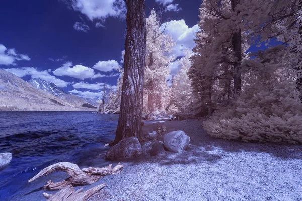 Fotografía Infrarroja Lago Cordillera Parque Nacional Grand Teton Wyoming — Foto de Stock