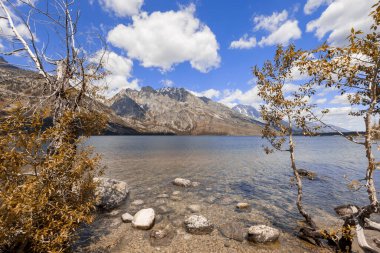 Wyoming Grand Teton Ulusal Parkı 'ndaki bir göl ve dağ sırasının fotoğrafı.
