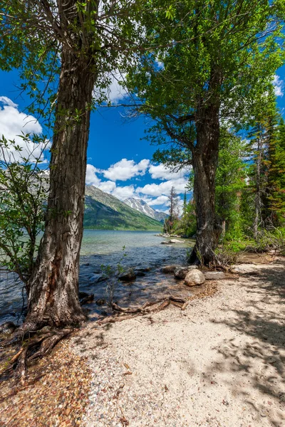 Fotografering Sjö Och Bergskedja Grand Teton National Park Wyoming — Stockfoto