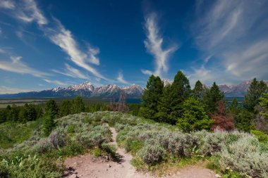 Uzakta, tepesinde kar tepeleri olan büyük bir dağ sırasının fotoğrafı.