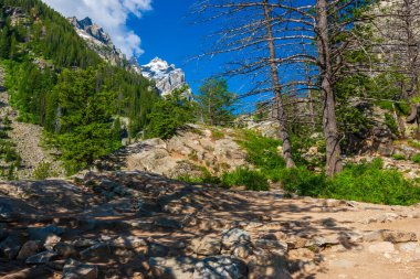 Wyoming 'deki Grand Teton Ulusal Parkı' nın zirvesinde kar örtüsü olan uzak bir dağ silsilesinin fotoğrafı.
