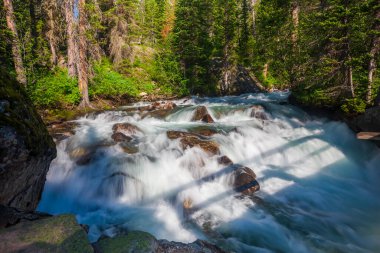 Dağlardaki tatlı bir nehirde hızla akan akıntıların fotoğrafı.