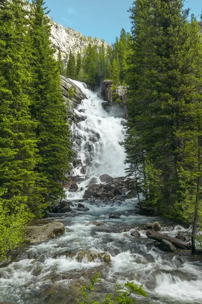 Foto Von Schnellen Stromschnellen Einem Süßwasserfluss Den Bergen — Stockfoto