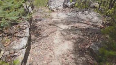 Avustralya, Yeni Güney Galler 'deki Mavi Dağlar' da taşra gezisi yaparken kayalık bir toprak yolda yürüme görüntüsü.