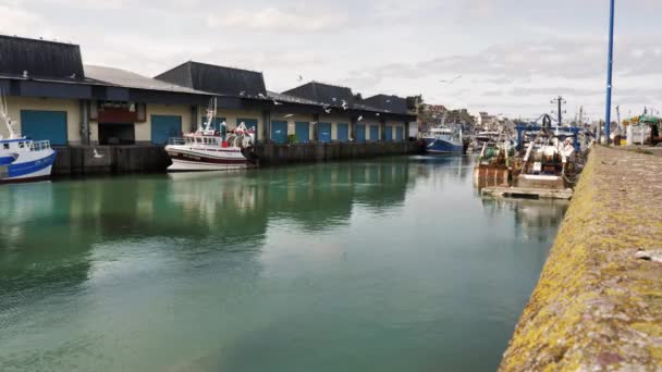 Port Bessin Frankreich März 2021 Fischereihafen Von Bessina Fliegende Möwen — Stockvideo