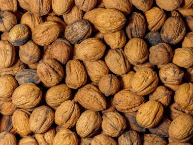 Kabuklardaki doğal, soyulmamış cevizler yoğun bir kompozisyonda organik bir zemin oluşturuyor. Yakın plan zengin bir doku ve sıcak kahverengi tonlar gösteriyor. Mutfak, sağlık ve ekonomi için mükemmel.