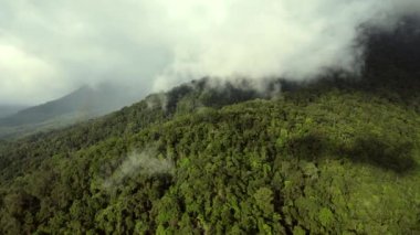 Dağlardaki güzel yeşil ormanın havadan görünüşü