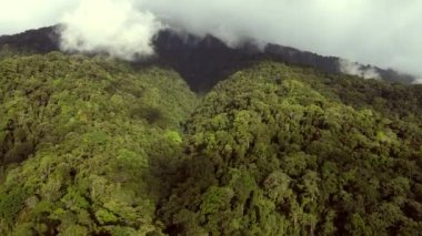 Dağlardaki güzel yeşil ormanın havadan görünüşü