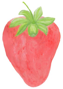 Beyaz arka planda izole edilmiş çilek suluboya çizimi. Yaz meyvesi konsepti.