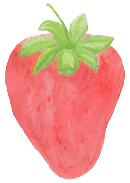 Beyaz arka planda izole edilmiş çilek suluboya çizimi. Yaz meyvesi konsepti.