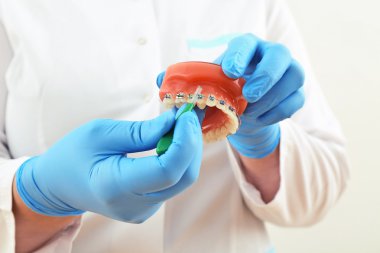 fırça ile diş telleri modeli