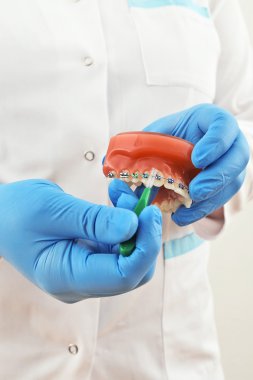 fırça ile diş telleri modeli