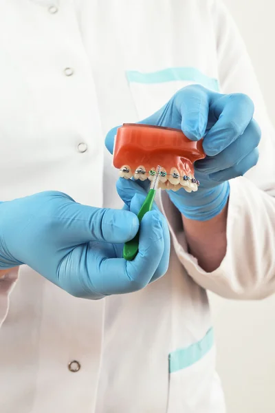 Braces model with brush — Stock Photo, Image