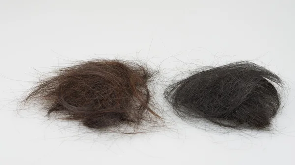 Коричневого і чорного волосся Втрата — стокове фото