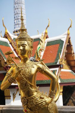 bir insan kafası ile efsanevi kadın kuş