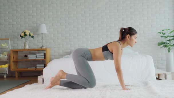 Athletic Healthy Asian Woman Sportswear Workout Stretching Excercise Home Bedroom — Stock Video