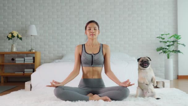 Belle Femme Asiatique Pratique Pose Lotus Yoga Avec Chien Chiot — Video