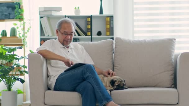 快乐的亚裔老人坐在沙发上 在家里用电脑平板电脑 带着狗的微笑 在家里用老年人的生活方式概念 — 图库视频影像
