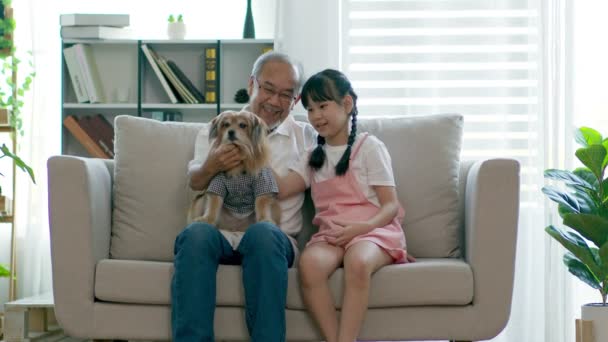 Asian Elderly Children Sit Sofa Playing Dog Together Living Room — Stock Video