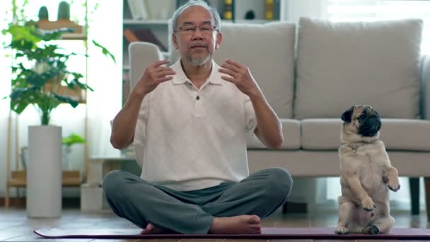 Aziatische Oudere Senior Man Doet Yoga Met Hond Pug Ras — Stockvideo