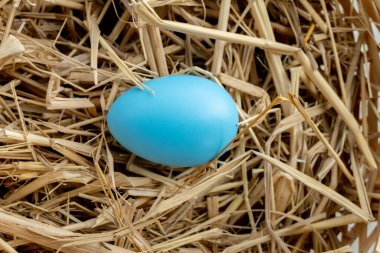 Paskalya yumurtaları ahşap zemin üzerinde fotokopi alanı, yumurtaların üzerine renkli ve el yapımı boya Avrupa 'da geleneksel Paskalya Günü için, Paskalya Günü Konsepti