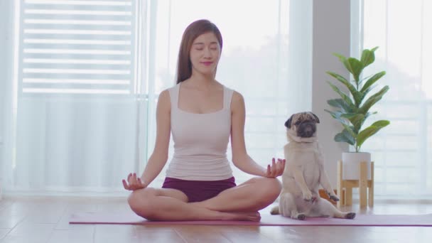 Спокойствие Красивой Азиатской Женщины Практике Дыхание Йога Поза Лотос Милой — стоковое видео