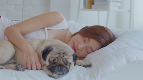 아리따운 아시아인젊은 귀여운 강아지를 침실에서 편안하고 편안하게 — 비디오