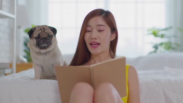 Linda Asiática Jovem Leitura Livro Com Cão Quarto Aconchegante Relaxar — Vídeo de Stock